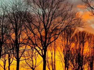 Allet 01 Silhouetten